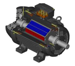 Rotor inserted PM